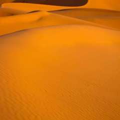 15403795 679329018914042 3643219968613237947 o