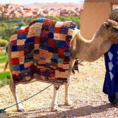 15439835 679329078914036 8481730863892759695 n