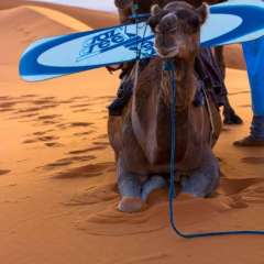 15440484 679328985580712 8250205260361850418 o