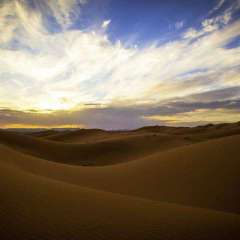 15442263 679328815580729 9168912749372067450 n