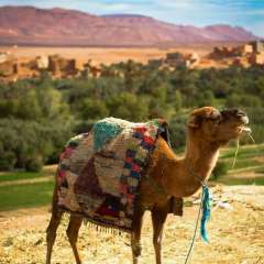 17620132 733209933525950 3925064429523865065 o